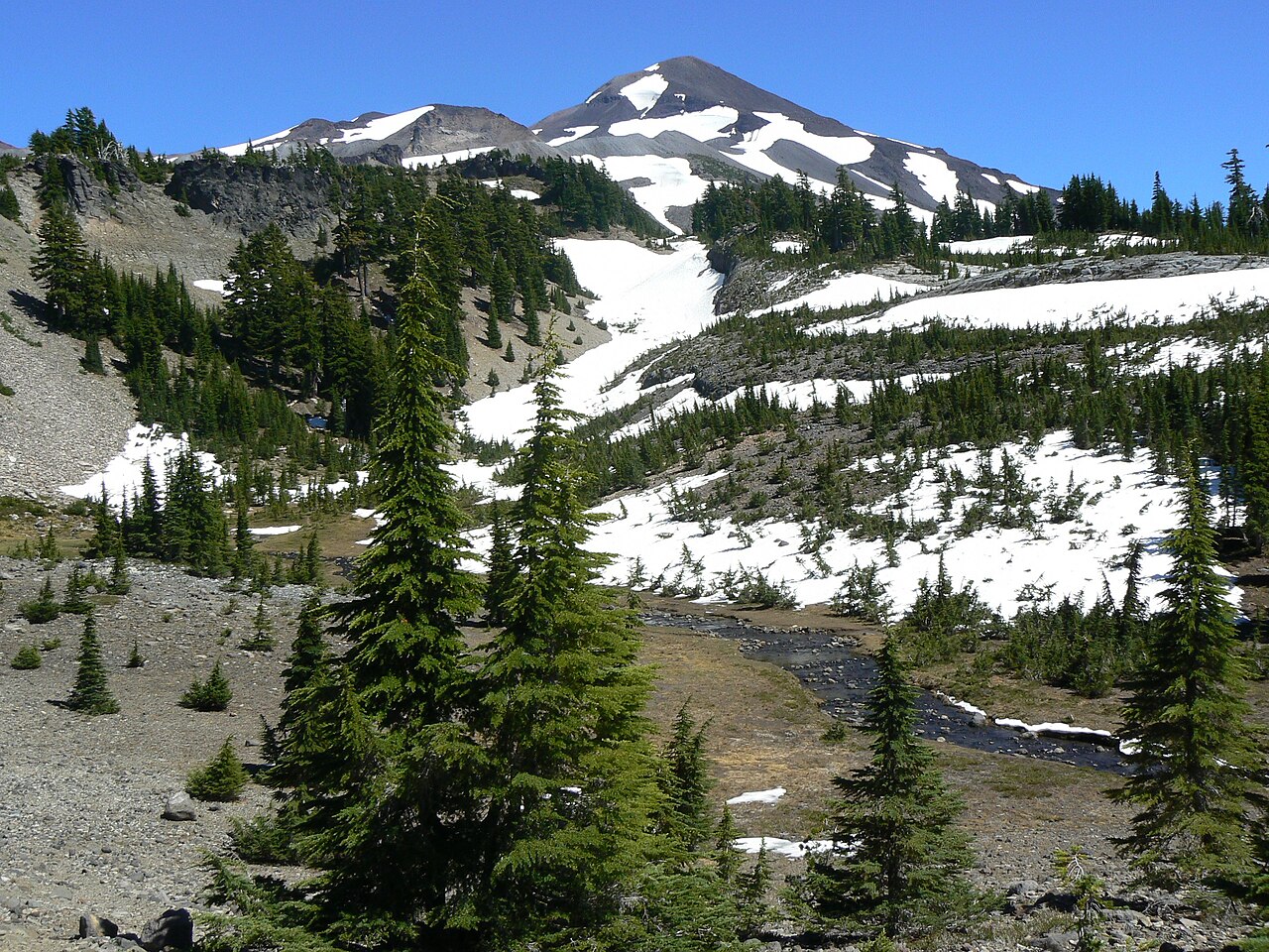 Clear creek water in the Three Sisters Wilderness, Oregon